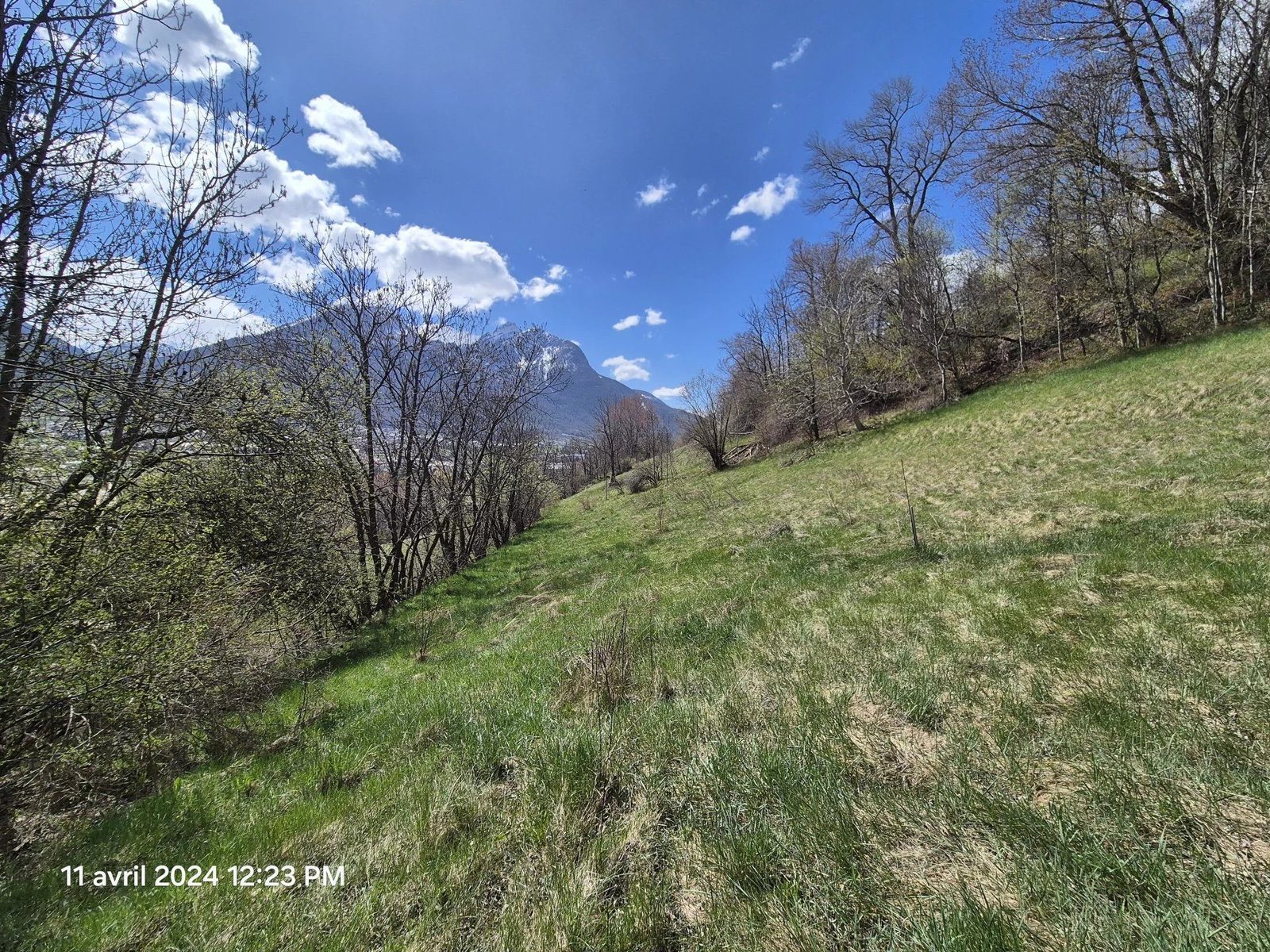 Terrain Constructible proche Centre Ville calme nature — photo 2